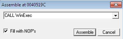 Calling Exe in Assembly Language